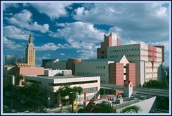 A rendition of Miami Dade College, Wolfson Campus A rendition of Miami Dade College, Wolfson Campus