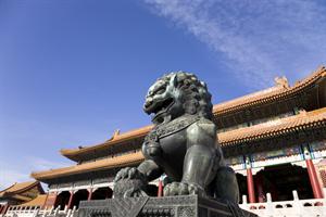 China study 