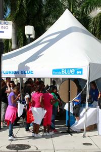 BlueFL1