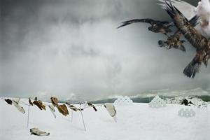 snowscape1