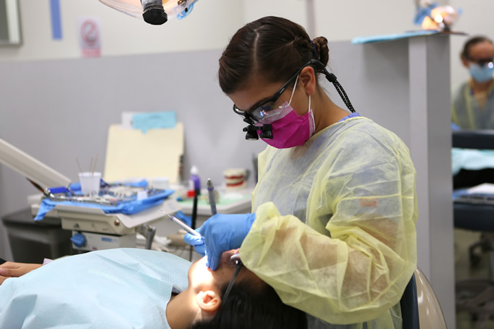 Dental Hygiene Associate In Science Miami Dade College