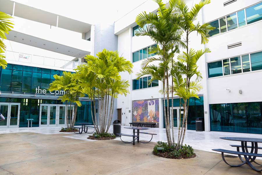 Patio with benches and palm tress in Hialeah Campus