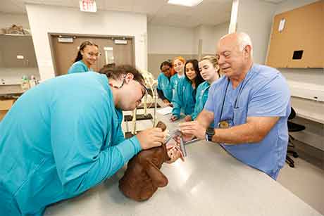 A nursing student checking a kid's eyesight