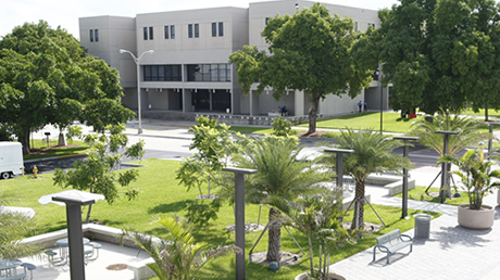 Campuses  Miami Dade College