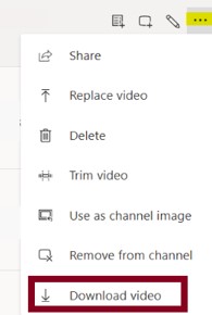 screenshot of thre dotted menu icon selected and the option to Download Video listed in the dropdown