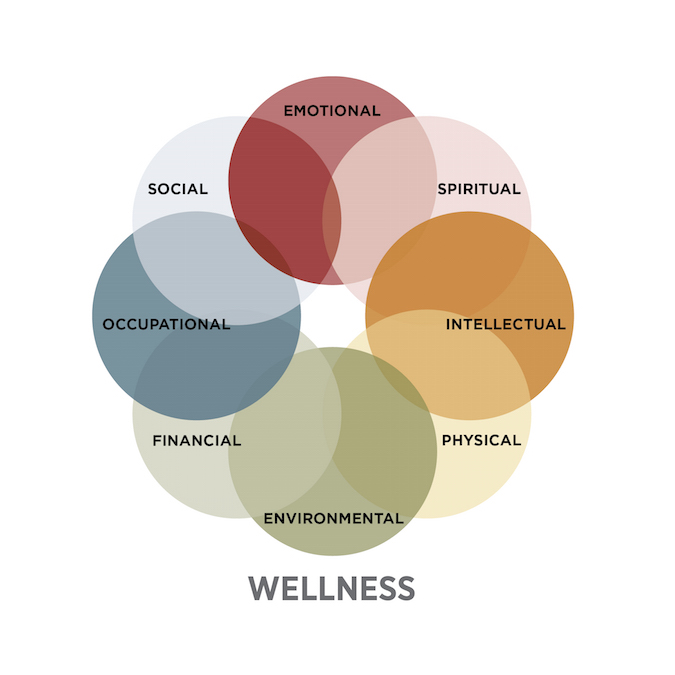 Graphical Representation of the Eight Dimensions of Wellness